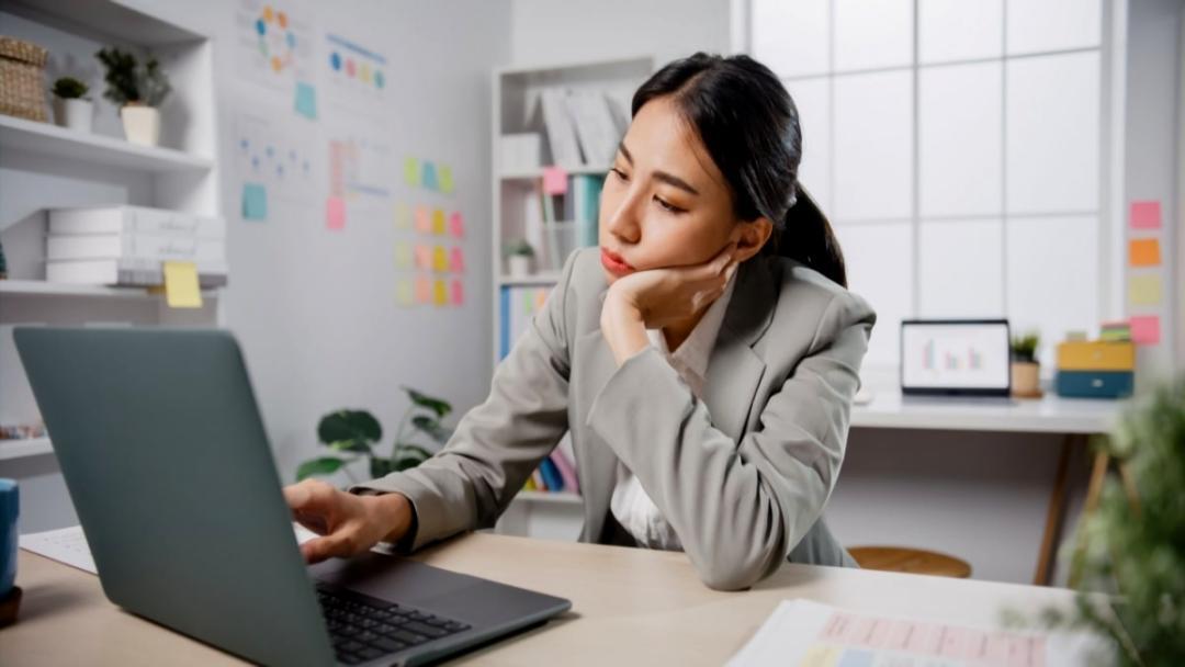 Session de formation interactive sur l'optimisation web